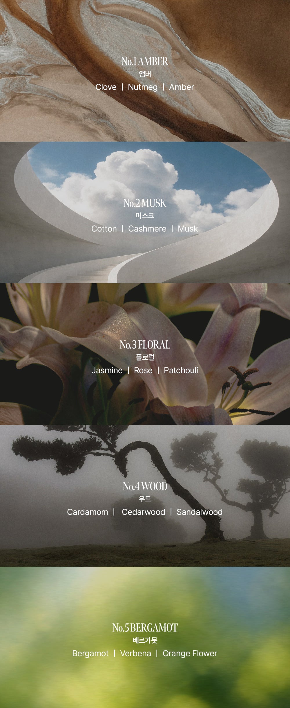 韓國代購：Hetras layered handmade perfume 15ML X5(75ML)