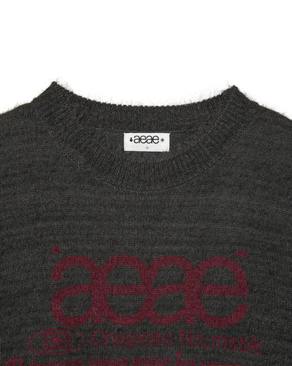 (韓國代購)AEAE WEB LOGO HAIRY KNIT [KHAKI/IVORY/SMOKY BLUE/BLACK/CHARCOAL] <Black Friday~25/11>